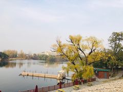 -Local泰莲庭(虹鳟鱼店)