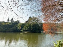 -深圳仙湖植物园