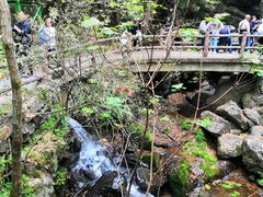 -藏龙百瀑风景区