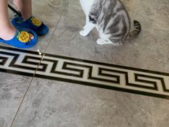 -翊宠yipet猫狗购宠庄园犬舍•猫舍