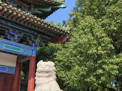 -阅江楼风景区