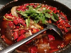 -雀蓝川菜(奥体广场店)