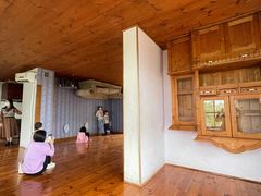-金山农民画村-枫泾波兰倒置屋