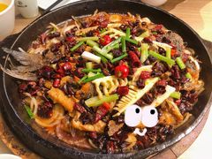 -老板恋上鱼(高新万达店)