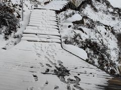 -莲宝叶则景区