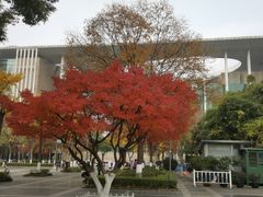 -长江路历史文化街区