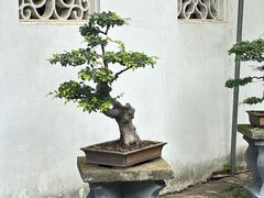 -西园戒幢律寺
