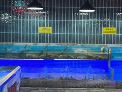 -海韵之星邮轮水会(明发商业广场店)
