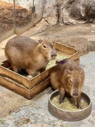 -Zoolung Zoolung动物主题公园(海信广场店)