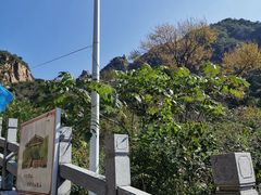 -大岭沟猕猴桃谷风景区