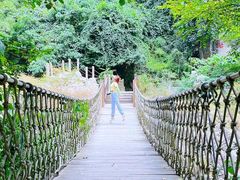 -陕西省红河谷森林公园