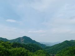 -栾川竹海野生动物园