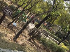 -聚龙山公园