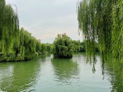 -济南大明湖景区