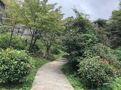 -山王坪喀斯特国家生态公园