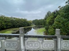 -上海海湾国家森林公园