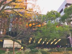 -香港大学