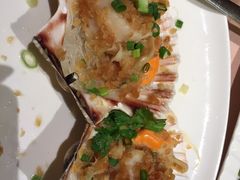 扇贝-陶陶居海鲜酒家(新马路店)