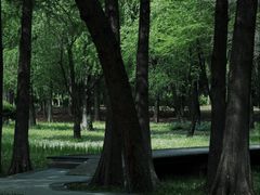 -长广溪湿地公园
