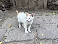 -鸡鸣驿城