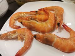 -索菲特酒店·海鲜自助 ·聚餐厅