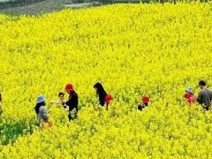 -兰陵国家农业公园