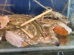 -真味馆(侨港碧海银滩店)