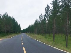 -塞罕坝国家级自然保护区