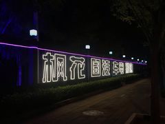 -枫花园汽车电影院(朝阳公园店)