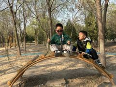 -绿堤公园