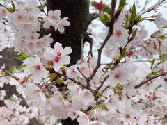 -苏州上方山国家森林公园
