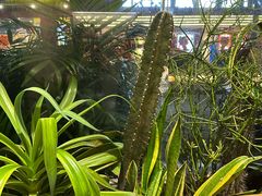 -隅乐胡椒虾·台湾菜·团建(皇岗店)
