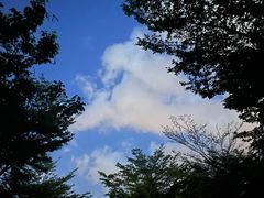 -聚龙山公园