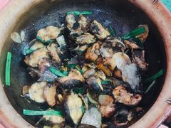 啫啫黄鳝-天强农家菜馆
