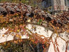 -老张烤羊(王哥庄店)