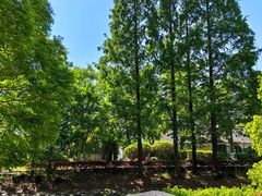 -上海交通大学(闵行校区)