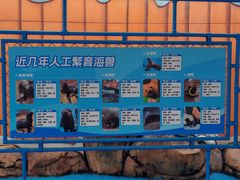 -海合安成都极地海洋公园