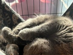 -第三空间·趣味桌游·轰趴.室内CS.剧本杀(大武汉1911店)