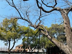 -惠山古镇·寄畅园