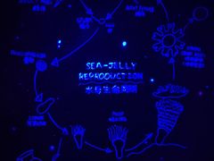 水母馆-正佳极地海洋世界