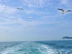 -海驴岛(荣成市)