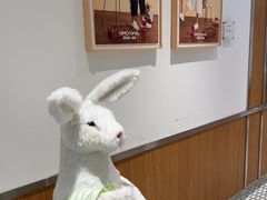 -海马体家庭照相馆(深圳笋岗万象食家家庭店)