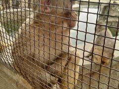-秦皇岛野生动物园