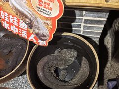 -印象鲵宴·张家界地标美食名片(溪布街店)
