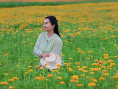 -长广溪湿地公园