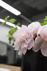 -蚂蚁造型俱乐部
