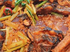 -老板恋上鱼(恒隆广场店)