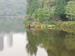 -重庆彩云湖湿地公园