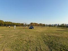 -洋湖国家湿地公园