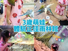 -正佳雨林生态植物园